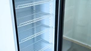 Chefone Single Door Showcase Chiller 298L Fan Cooling Cake Vegetables 5 Year Warranty Good Quality