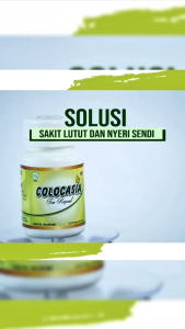 COLOCASIA 100% ORIGINAL 1 Box - Obat Herbal Alami Meredakan Nyeri Sendi Rematik Asam Urat & Tulang Linu
