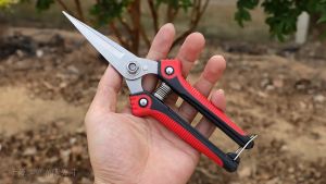 【Esatop】COD เครื่องมือจัดทำสวน กรรไกรตัดกิ่ง กรรไกรสแตนเลส กรรไกรแต่งกิ่ง เก็บผลไม้