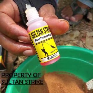 Essen ikan Mas "Sultan Strike" jagonya mancing Biang Mas jago strike siang dan malam galatama galapung dan harian