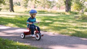 Radio Flyer : RFR415P* รถจักรยานสามล้อ Girls Fold 2 Go Trike