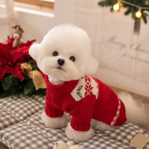 2023 New Style Sweater for Small Dogs Bichon Schnauzer Pomeranian Teddy Winter Autumn Clothes Pet Clothes Casual Style