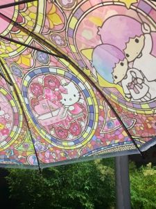 MeiLetti Transparent Umbrella Long Handle Folding High Aesthetic Value Womens Automatic Twin Star Internet Famous Thickened Painted Umbrella