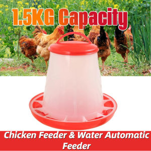 Chicken Feeder Bucket Plastic Feeding Tool Chicken Pine Pine Chicken Poultry Cable