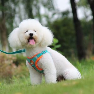 Pet Leash Dog Harness with Leash Mesh Collar Leash Strap Complete Set Pet Adjustable Leash Belt Traction Rope vest for Cat