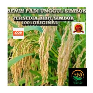 benih padi simbok kemasan 5 kg kualitas unggul tahan rebah