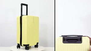 20-inch Large Capacity Student Luggage Box High-Quality & Multi-Color Options for Travel