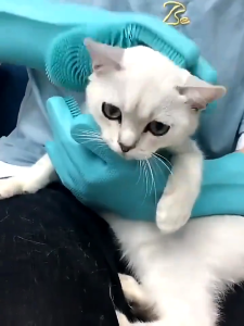 Pet Bath Gloves Silicone Anti-Scratch Protection Pet Grooming Gloves Anti-bite Comfortable Massage