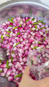 500G Hành Tím Lý Sơn Ngâm Giấm Chua Ngọt Ớt Xiêm Xanh – Hành Giòn Thơm Ăn Liền Đặc Sản Lý Sơn