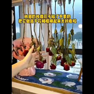 3 มิติ พร้อมส่ง นอน มีรูแขวน DIY มินิมอล  กรอบรูป กรอบรูปทรงลึก สำหรับใส่ดอกไม้แห้ง แบบกลวง วางได้แนวตั้ง