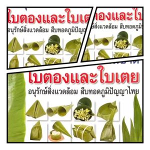 kidtuk หนังสือ งานประดิษฐ์ ใบตอง ใบเตย งานฝีมือ บรรจุภัณฑ์ จากธรรมชาติ ภูมิปัญญาชาวบ้าน หนังสือหายาก