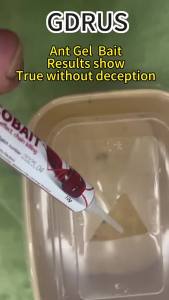 Cockroach Medicine Gel Bait 10g Umpan racun serangga Repellent Home Use No Dead Angle 蟑螂引诱剂