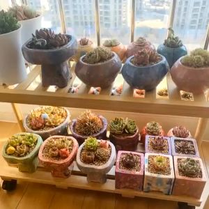 ฐานล้อเลื่อน ทรงสี่เหลี่ยม พร้อมล้อเลื่อน ถอดออกได้ 360 องศา สําหรับกระถางต้นไม้ 25x25 ซม