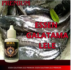Essen Galatama Lele Semua Media alam dan olahan khusus umpan ikan