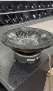 🥇【TOSUNRA】10 INCHES 400W TE-10400 SPEAKER T 10" DOUBLE MAGNET SPEAKER UNIT 400W 8Ω