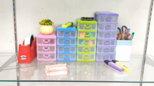 NEWLAND MINI DRAWER ORGANIZERS / ELEGANT MULTI-PURPOSE STORAGE DRAWER / MAKEUP ORGANIZER / MEDICINE DRAWER DES