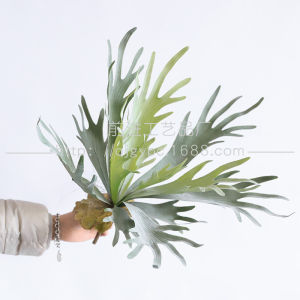 TONGGUMO | Landscape Design Cactus Artificial Foliage