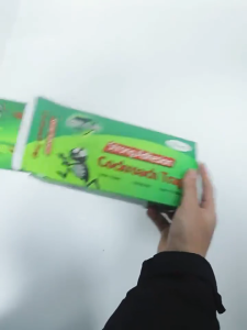 SG 10 Pcs Cockroach Killer Roach Traps Roach Bait Roach Motel Cockroach Repeller designed to be Pet and Child Safe