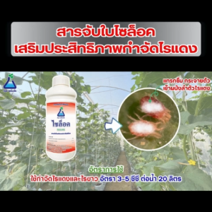 ไซล็อค รสชาติ 50 ซีซี สารจับใบ ออกาโนซิลิโคน ช่วยเพิ่มประสิทธิภาพสารกำจัด ไม่ร่องรับเส้น ไม่ขาว จาก TAB กับ XYLOX 50 cc Surfactant Organosilicone