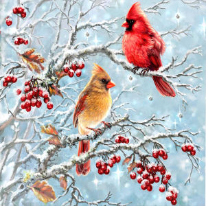 【HOT】5D DIY Full Round Drill Diamond Painting Cardinal on the Branch Kit Decor30x30cm
