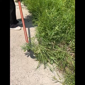 【COD】มีดถางหญ้า กำจัดวัชพืช แบบเฉียงองศาเข้ากับระดับพื้นพอดี คม ตัดหญ้าได้ทุกชนิดไม่หักง่าย เหนียว หนา