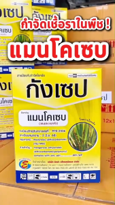 แมนโคเซบ 80%WPกังเซป เป็นสารป้องกันโรคพืช กุ้งแห้งในพริก โรคราแป้ง ราดำ แอนแทคโนส ขนาด 1 กิโลกรัม