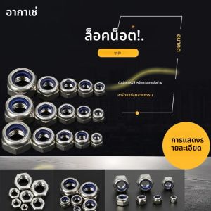 AGASHE 220 สแตนเลสสตีลเมตริกล็อคชุดอุปกรณ์เสริมไนลอนฝังหกเหลี่ยมล็อคถั่ว M3-M12 สําหรับล็อคเครื่องซักผ้าขัดเงา
