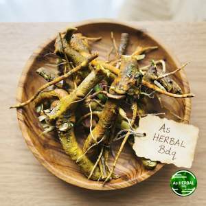 Akar kecubung segar / akar daun kecubung 500 gram-az