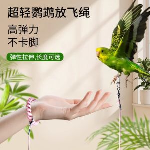 Ultra-light Parrot Flying Rope Non-injury Training Leash for Small Birds Healthy Care No Brand Suitable for Other Medium Large Parrots