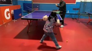 HUISHENG Set Bat Tenis Meja Original Pingpong Tenis Meja