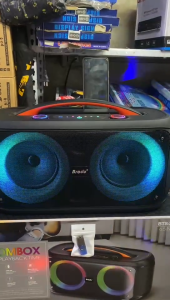 Brodu BTS-2492 6.5 inch FREE USB rechargeable bluetooth speaker with 1 wireless & wired mic