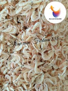 Ikan Asin Hepi/Rebon Kasar Super