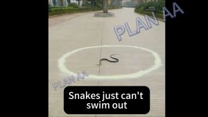 Snake repellent 510G Anti Snake Bite Particles Camping Anti Snake Outdoor Anti Snake Particle