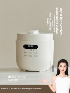 Olayks | Ceramic Glazed Multi-functional Electric Pressure Cooker 5L