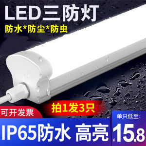 Outdoor Waterproof LED Strip Lights IP65 Cold Storage Bathroom Lighting Long Bars Three-Protection Lamp Modern Simple Style