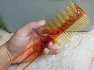 Lược Xương Cá Tạo Kiểu Tóc Nam Siêu Đẹp Bộ Lược Tạo Kiểu Tóc Nam 3 Trong 1.(Ảnh thật)