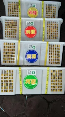 Keranjang bekas kelengkeng