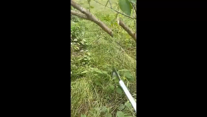 เคียว เคียวเก็บเกี่ยว เคียวแมงกานีส เคียวตัดหญ้า เคียวตัดหญ้า เคียวขนาด 48/77/96ซม