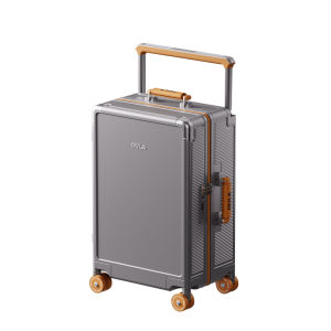 Attractive Multi-Function Travel Luggage PC Gliding Wheel