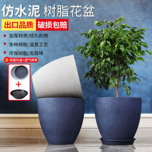 Nordic Style Minimalist Imitation Cement Plastic Extra Large Gallon Basin Ins Style Home Decoration Monstera Deliciosa Bird of Paradise Flowerpot