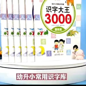 【SG STOCK】 Character Master 3000 Words 识字大王3000字 Preschool Learning Books 狮城奶爸推荐