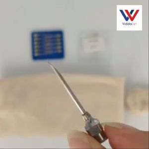 EliteVet 1 Dozen Gauge 20 x 0.5 inch Stainless steel needle for pig Stainless steel needle for pig stainless steel