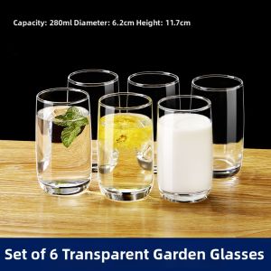 Heat Resistant Glass Water Cup Set