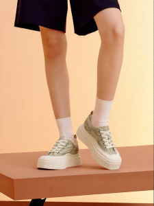 Toomanyshoes | Thick Sole Height Increasing Canvas Shoes