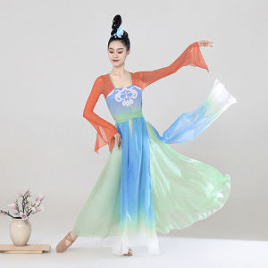 Classical Dance Performance Costume Elegant Draping Han Tang Dance Practice Skirt Spring Hymn Shengui Ethnic Dancewear