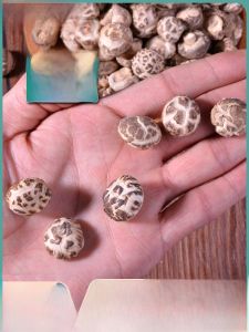 Mini XiaoHua Mushroom Farm Fresh Non-Wild Cherry Wood Grown Mushroom from Shennongjia Dried Mushroom Lijiang Mushroom