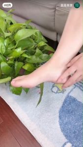 ถุงเท้าสปา ถุงมือสปา ถูกเล่นกันช่วยความชุ่มชื้น ร่วมกับการไปให้บ้าน ส้นเท้าแตก,ป้องกันการแตกร้าว (ฟรีไซส์)