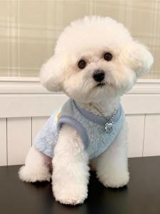 Warm Casual Dog Coat for Small Breeds like Pomeranian And Schnauzer Teddy Bichon Puppy Dog Clothes Winter Pet Vest with Sequins And Metal Colors