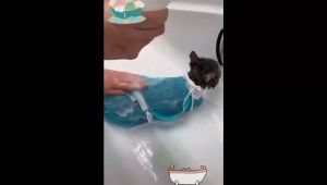 Cat Grooming Bath Bag Anti Scratch Pet Bathing Nail Trimming Use Bag Cat Restraint Bag Cat Washing Bag Mandi Kucing