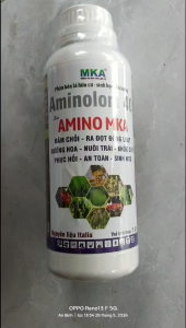 AMINO Ý 40%-AMINO MKA-chay 1 lít pha 1000l nước